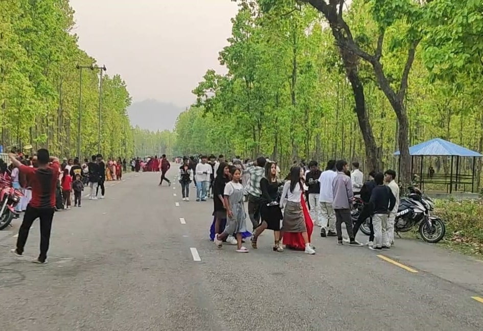 हरिहरपुरगढीको भाईरल जंगलमा नयाँ बर्षको रौनक