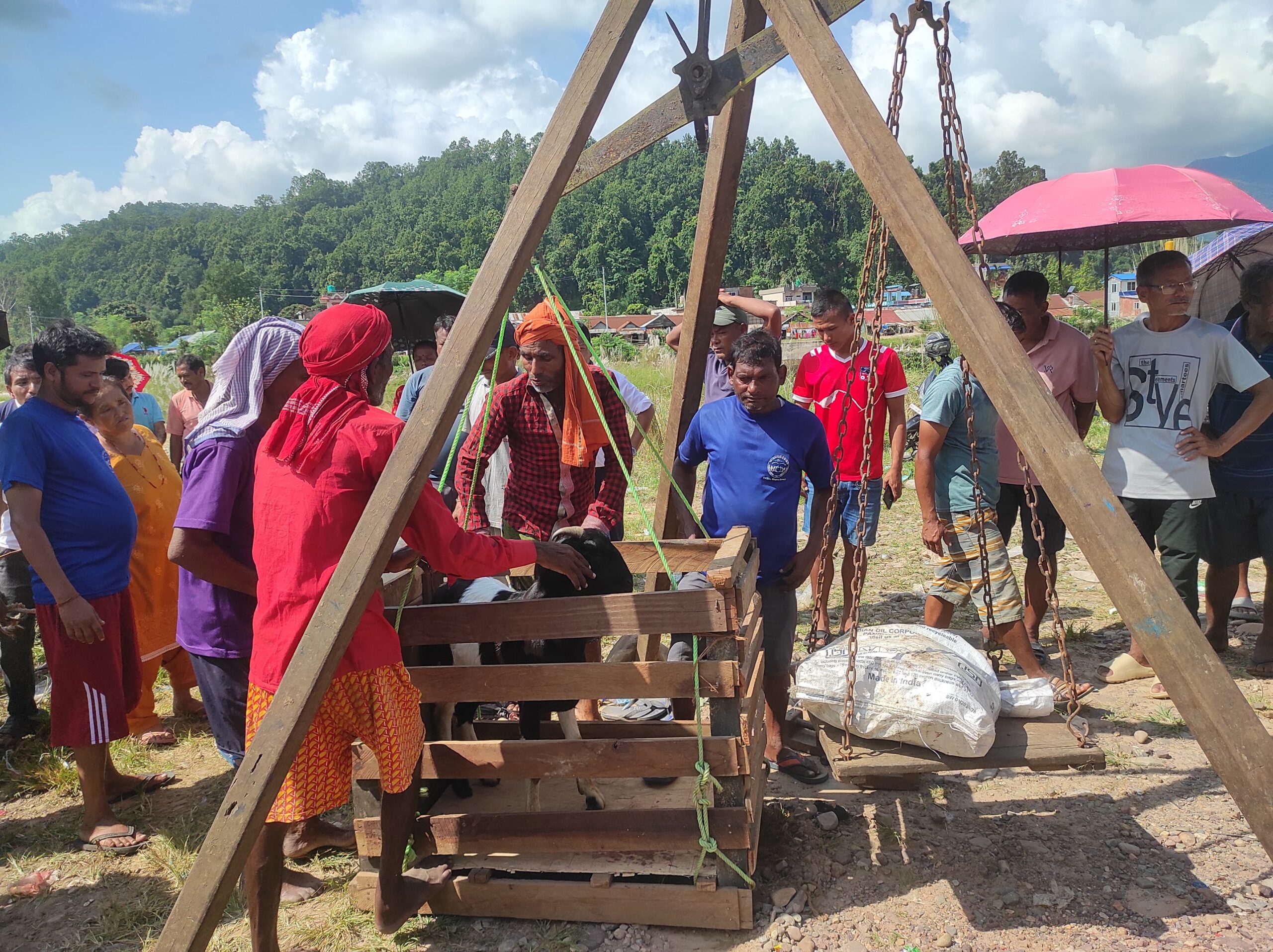 बागमती गाउँपालिकाबाट करिब १ करोड बराबरको खसीबोका विक्री