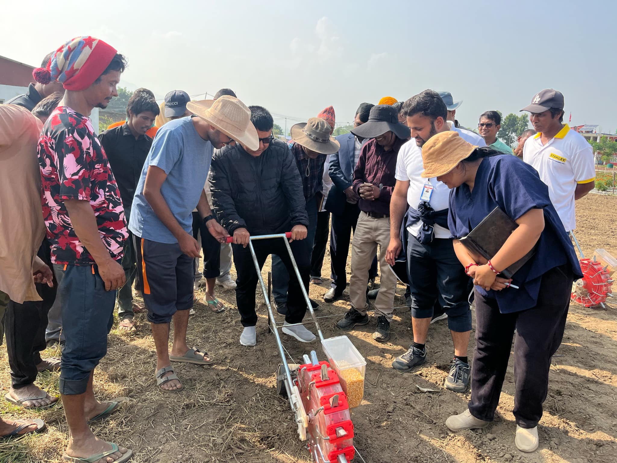 हरिहरपुरगढीमा हाइब्रिड मकैको बीउ उत्पादन सुरु