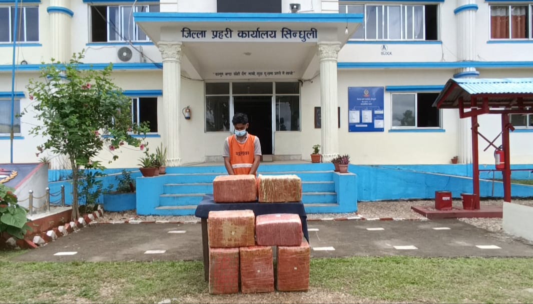 हरिहरपुरगढीको झनझनेमा गाँजा सहित गाडी चालक पक्राउ