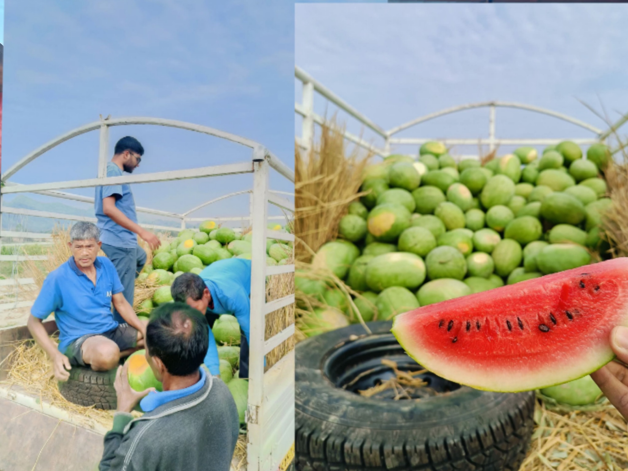 हरिहरपुरगढीको जागरण कृषि समूहको सफलताले युवाहरु तरभुजा खेतीमा आकर्षित हुदै