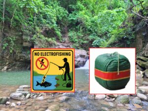 हरिहरपुरगढीमा तमोर खोला संरक्षण समिती गठन