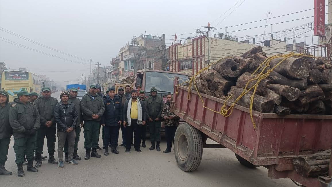 मेयर जयसवालद्वारा चिसो प्रभावित नागरिकलाई दाउरा वितरण निरन्तर